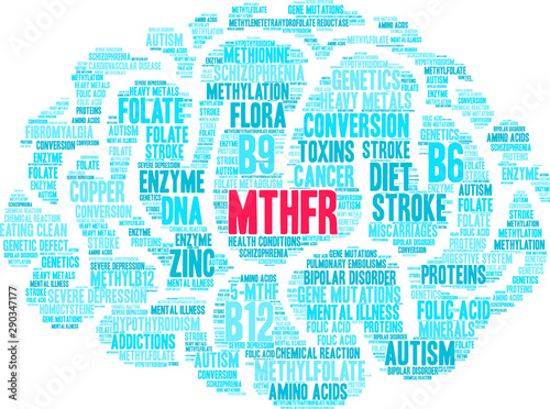 MTHFR Word Cloud on a white background.  photo