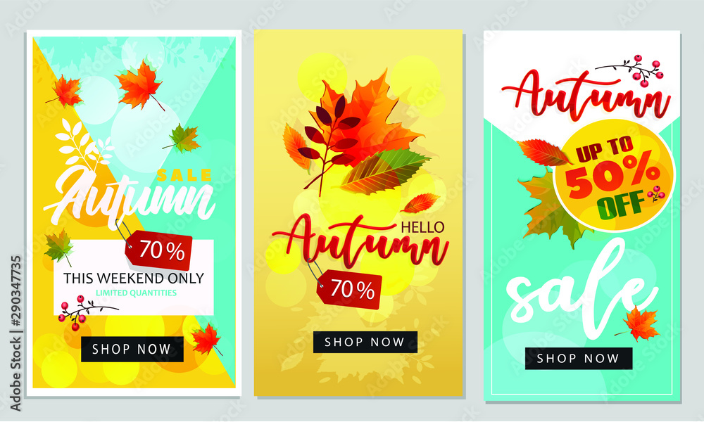 Set of Autumn sale background layout decorate with leaves for shopping sale or promo poster and frame leaflet or web banner.Vector illustration template.