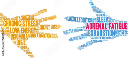 Adrenal Fatigue Word Cloud on a white background. 