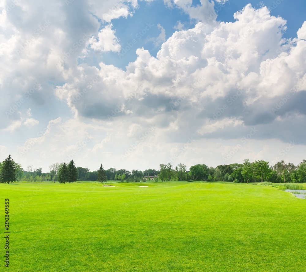 Fototapeta premium green field and blue sky