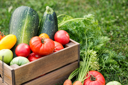 Vegetables in wooden box at the garden  outdoor