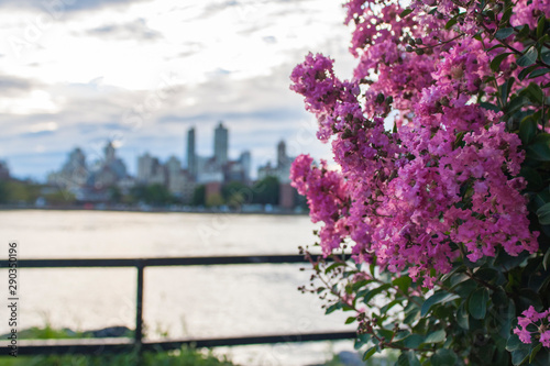 New York skyline trough pin...