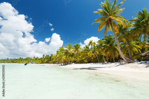 Fototapeta Naklejka Na Ścianę i Meble -  White sandy beach with sea and palms