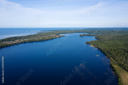 Aerial view from drone on summer forest and lake