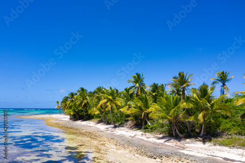 Aerial view on tropical island with coconut palm trees and turquoise caribbean sea