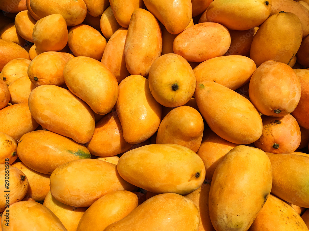 A lot of mango on sale at farms market. Top view. Food background A lot of mango on sale at farms market. Top view. Food background
