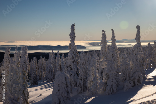 Snowy landscape of Czech mountain landscape during winter