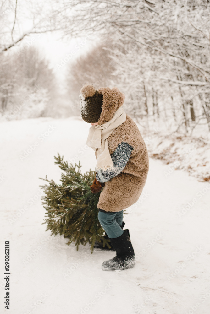 A little boy carries a Christmas tree in an costume in a snowy forest. A dwarf in a fur coat is dragging a tree along a snowy road Stock Photo