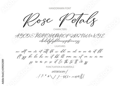 Hand drawn calligraphic vintage vector font. Distress grunge texture. Modern script calligraphy type. ABC typography latin alphabet with ligatures. photo