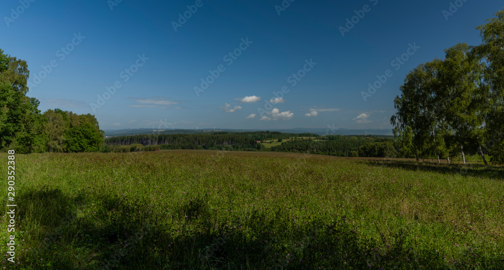 Fototapeta premium Meadows over Stedra village in Slavkovsky les national park in summer day