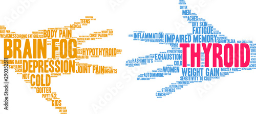 Thyroid Word Cloud on a white background.  photo