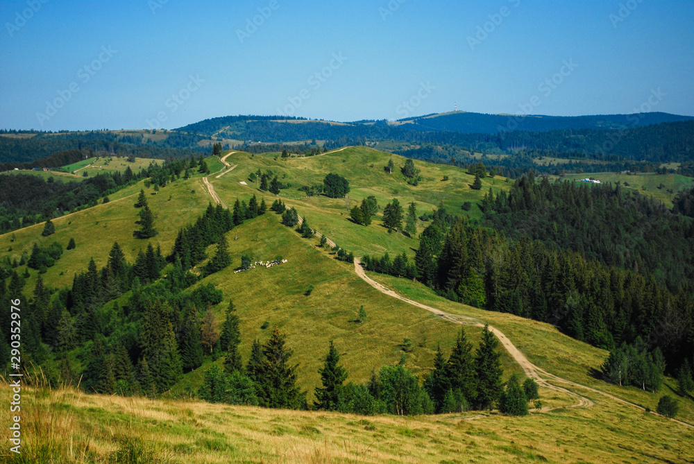 landscape in the mountains