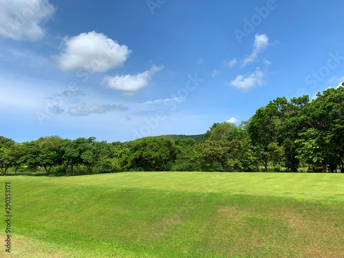 Beautiful green grass from golf ground