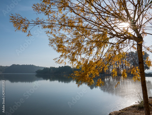 Autumnal afternoon in the swamp of Sant Llorenç de Montgai (Catalonia, Spain) photo