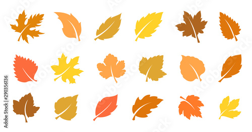 Autumn leaves set