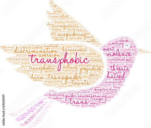 Transphobic Word Cloud on a white background. 