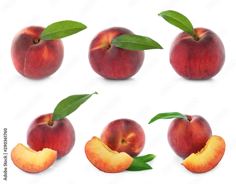 Fototapeta Set of fresh delicious juicy peaches on white background