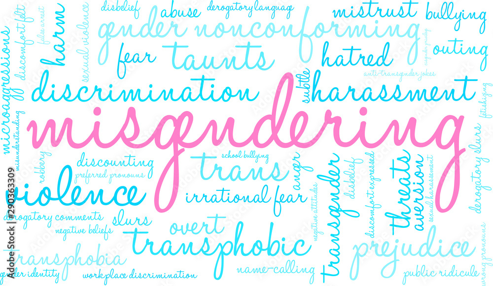 Misgendering Transgender Word Cloud on a white background. 