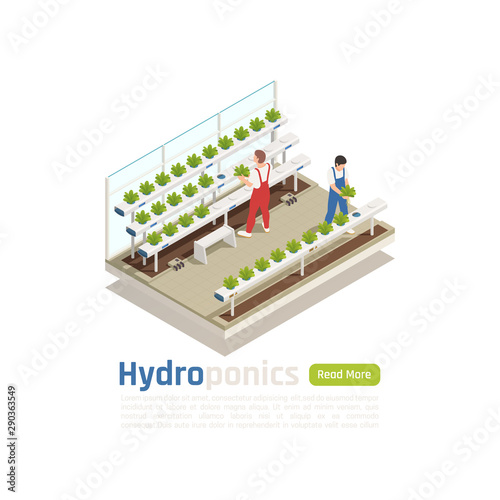 Hydroponics Greenhouse Isometric Composition 