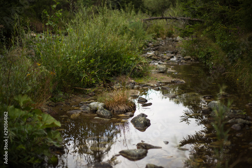 Stream Rackova, High Tatras, Slovakia photo