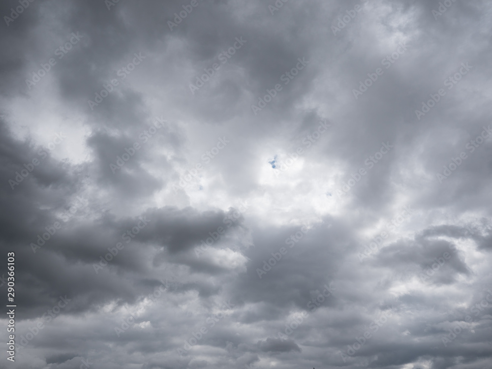 Fototapeta premium Beautiful various forms clouds in the high sky