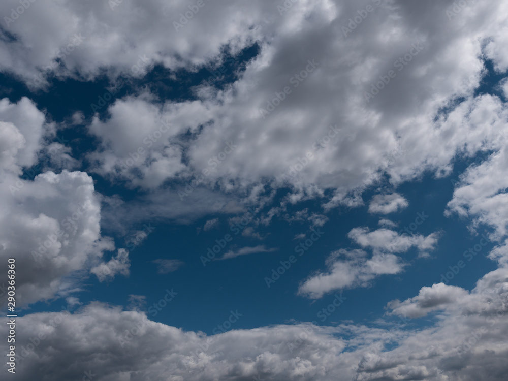 Fototapeta premium Beautiful various forms clouds in the high sky