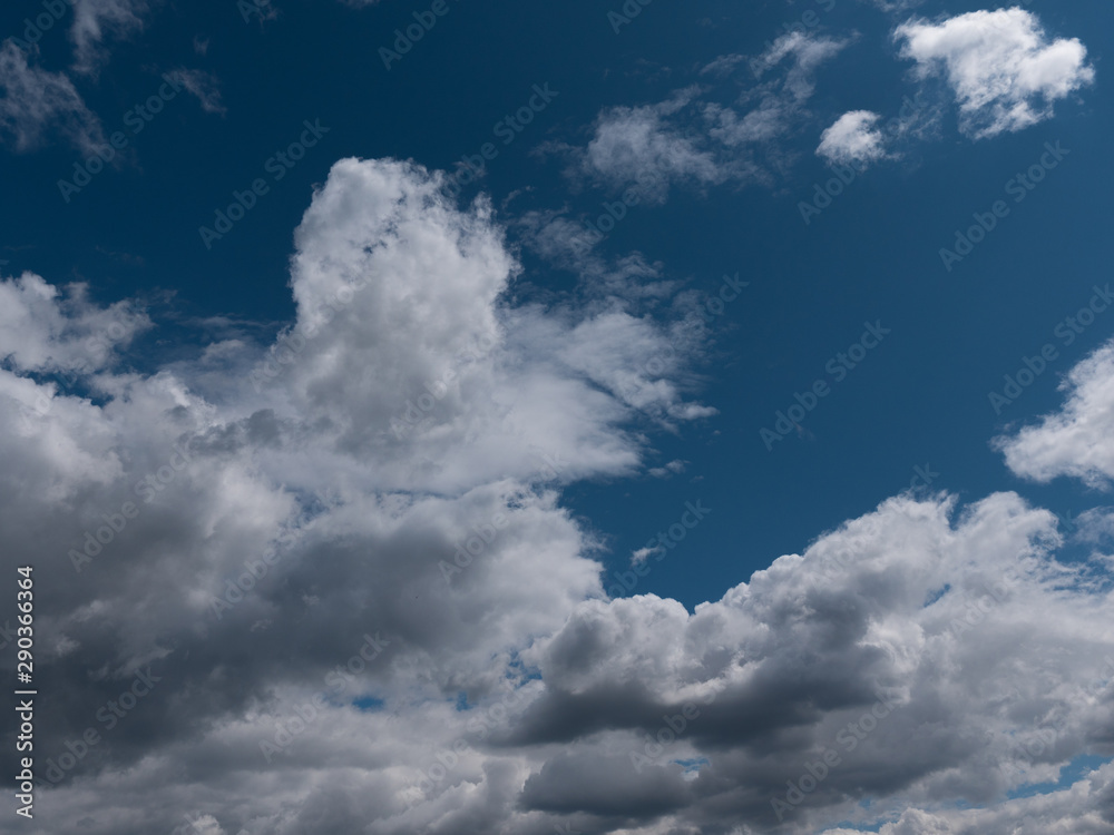 Obraz premium Beautiful various forms clouds in the high sky