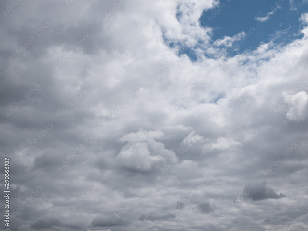 Obraz premium Beautiful various forms clouds in the high sky