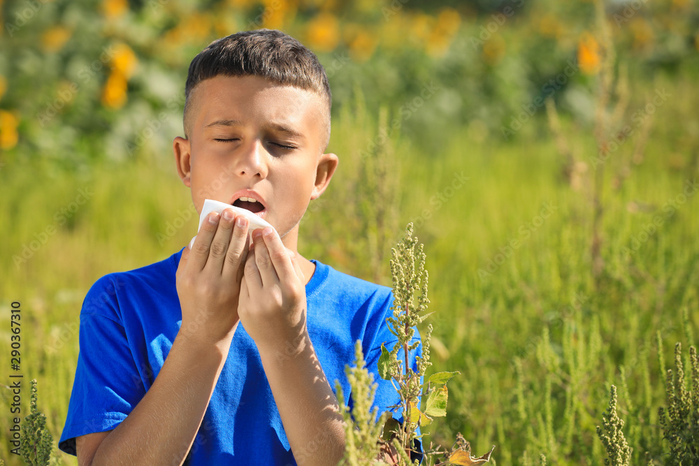 Fototapeta premium Little boy suffering from ragweed allergy outdoors