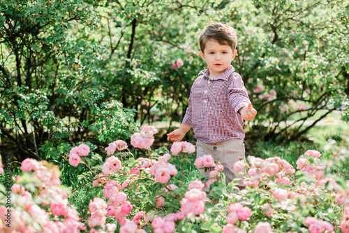 Cheerful cute little boy having fun in park. Happy childhood.