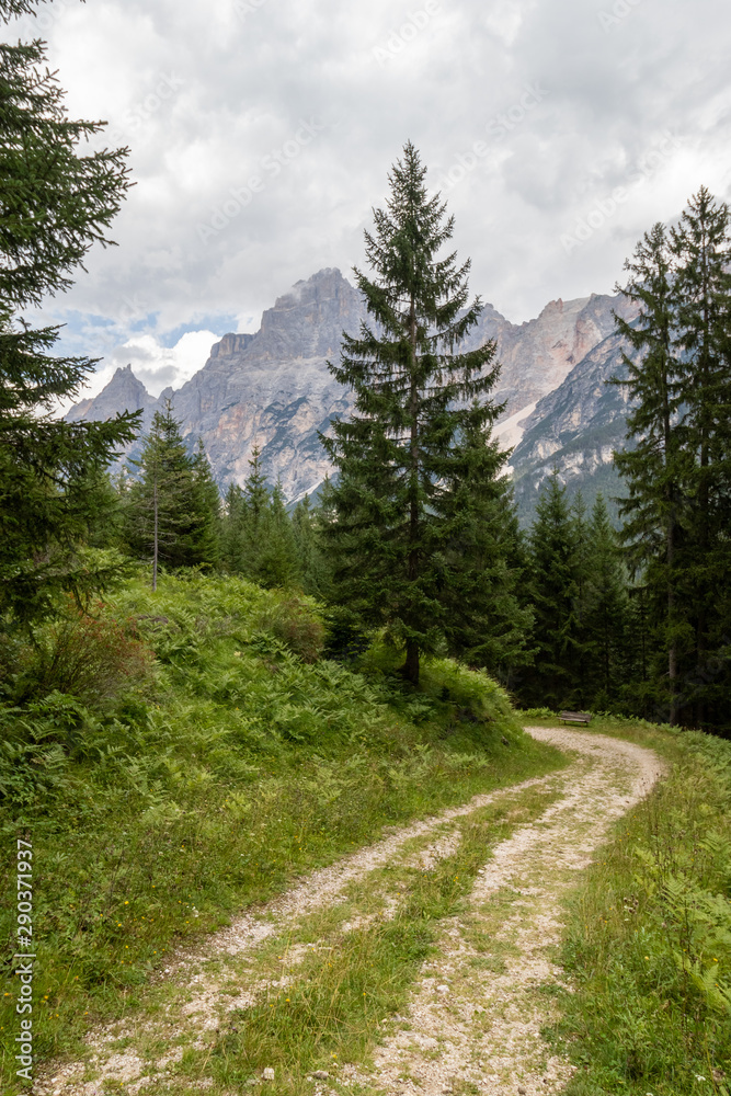 Panoramic mountain road / path in Italian Alps in middle of august