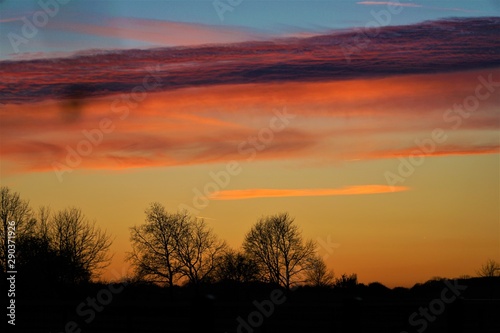 Abenddämmerung mit Bäumen © Leon