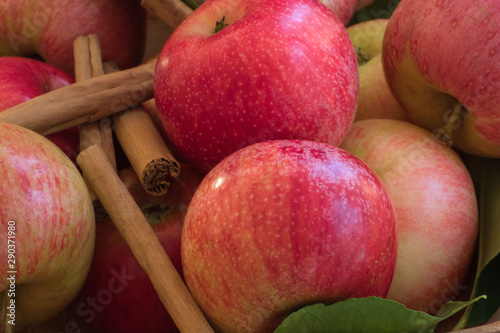 Apples of red and pink color with cinnamon sticks  close up, from above