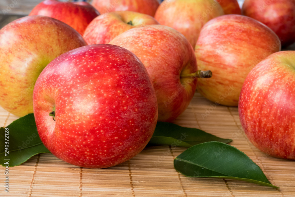 Red and pink apples with green leaves , close up Red and pink apples with green leaves , close up