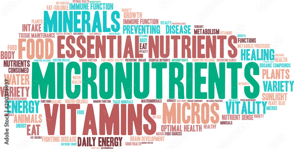 Micronutrients Word Cloud on a white background. Micronutrients Word Cloud on a white background.