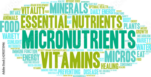 Micronutrients Word Cloud on a white background. 
