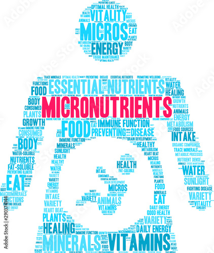 Micronutrients Word Cloud on a white background. 