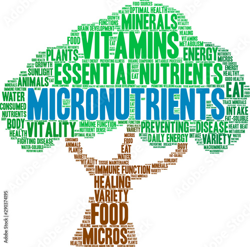 Micronutrients Word Cloud on a white background.  photo