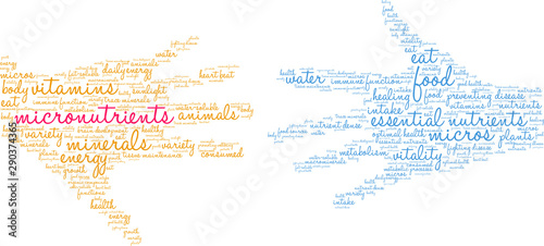 Micronutrients Word Cloud on a white background. 