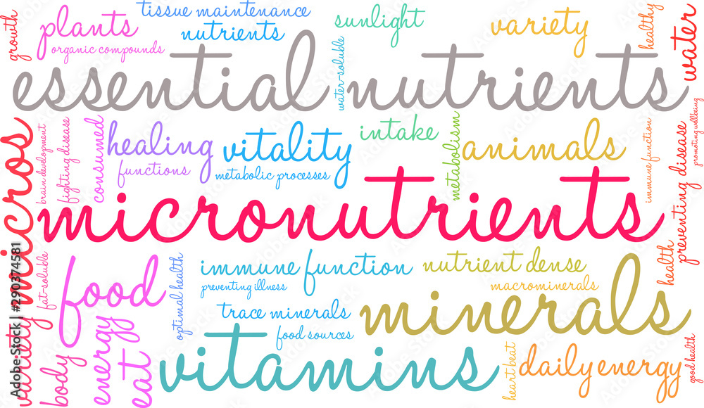 Micronutrients Word Cloud on a white background. 