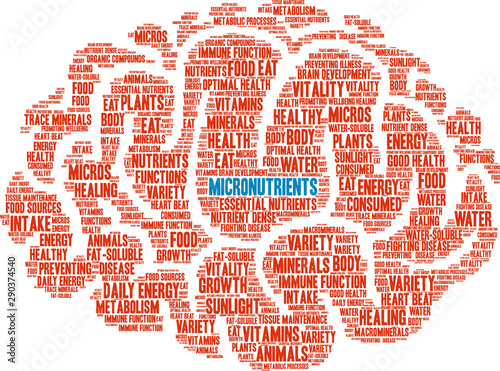 Micronutrients Word Cloud on a white background. 