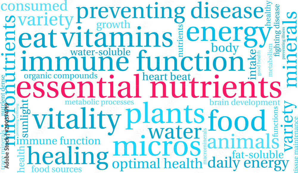 Essential Nutrients Word Cloud on a white background. Essential Nutrients Word Cloud on a white background.