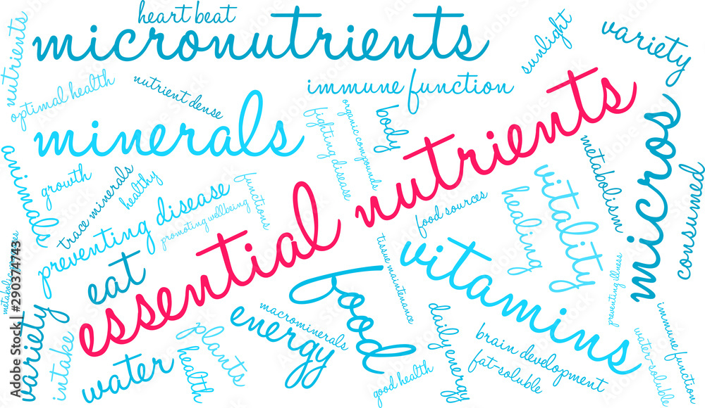 Essential Nutrients Word Cloud on a white background. 