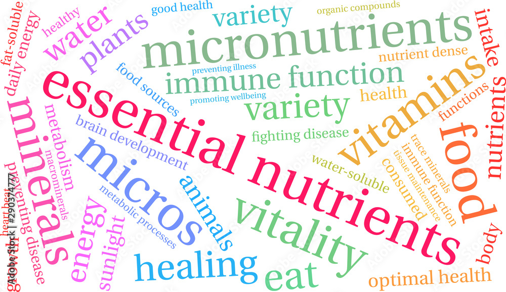 Essential Nutrients Word Cloud on a white background. Essential Nutrients Word Cloud on a white background.