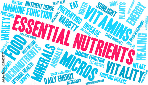 Essential Nutrients Word Cloud on a white background. 