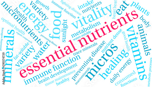 Essential Nutrients Word Cloud on a white background. 
