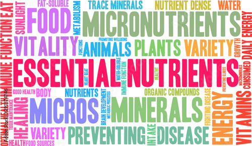 Essential Nutrients Word Cloud on a white background. 