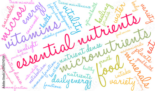 Essential Nutrients Word Cloud on a white background. 