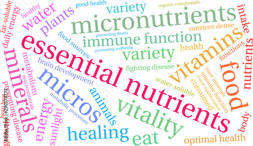 Essential Nutrients Word Cloud on a white background. 