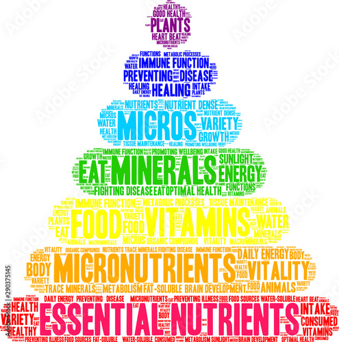 Essential Nutrients Word Cloud on a white background. 